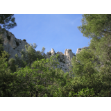 photo miniature